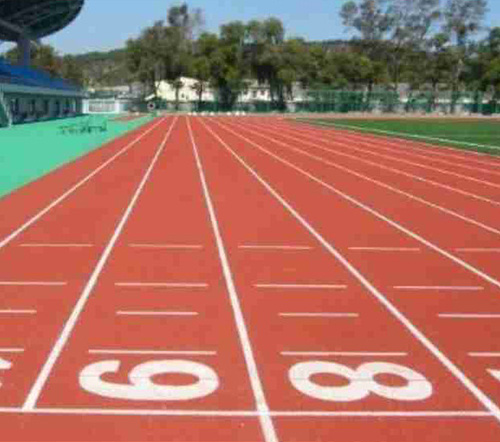 現(xiàn)訂單現(xiàn)采摘，保證新鮮